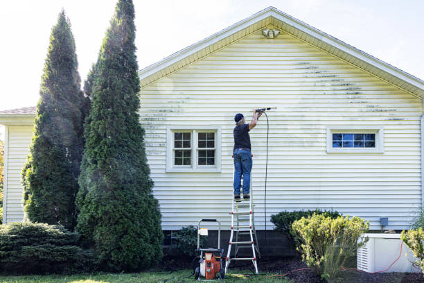 Best Soft Washing for Delicate Surfaces in Conway, AR